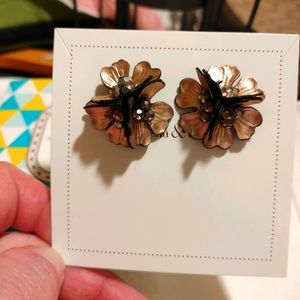 Never worn Stella and Dot Earrings